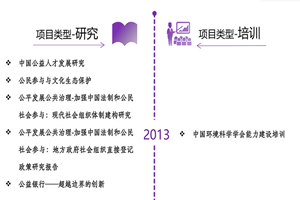 插逼综合非评估类项目发展历程